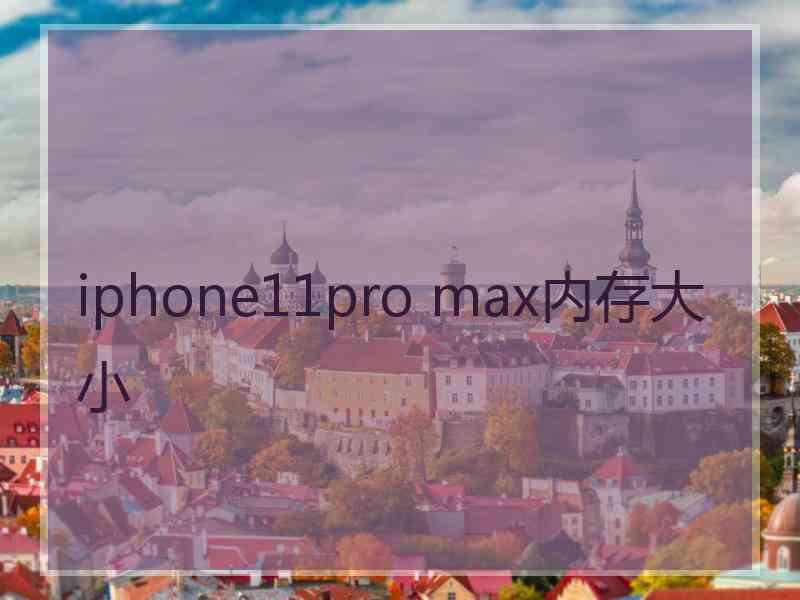 iphone11pro max内存大小