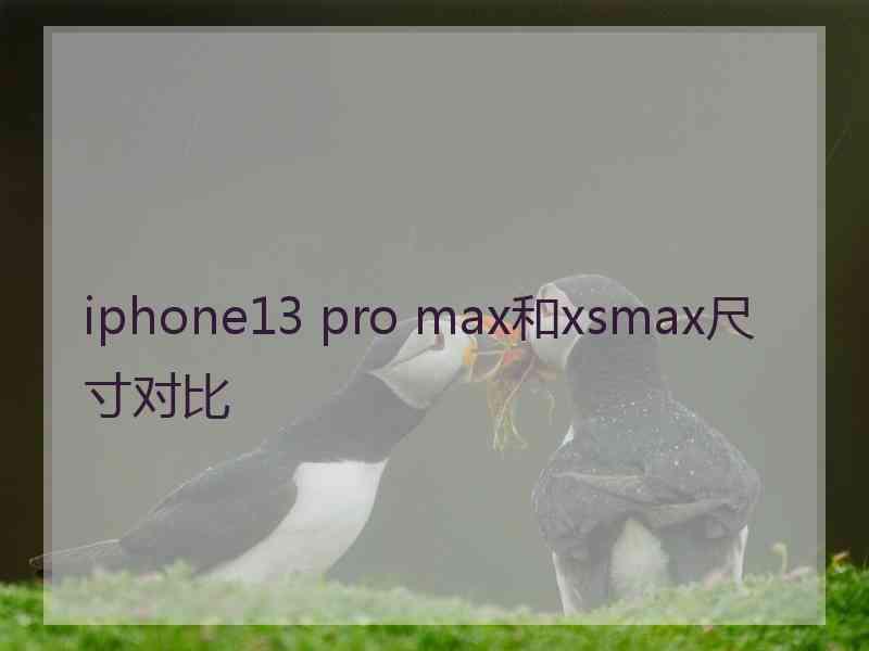 iphone13 pro max和xsmax尺寸对比