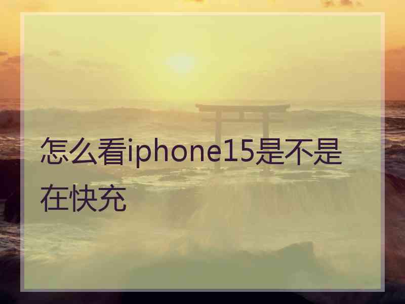 怎么看iphone15是不是在快充