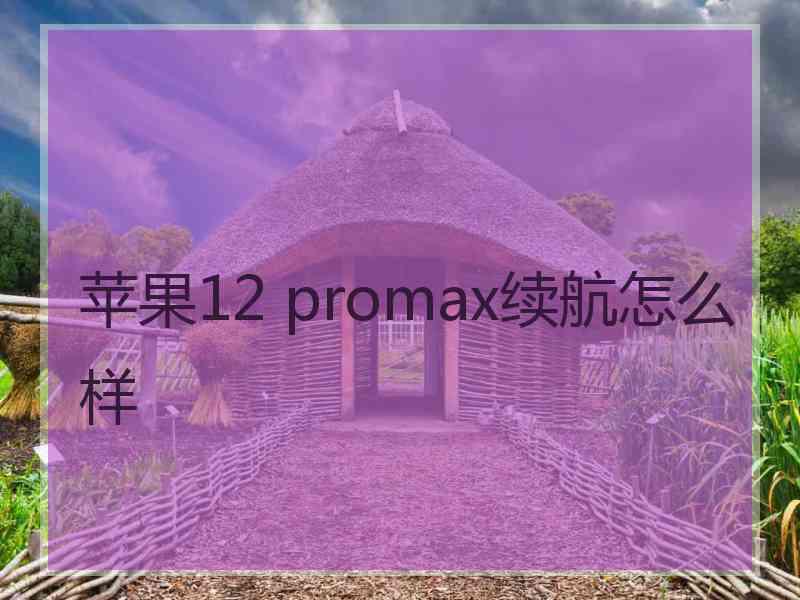 苹果12 promax续航怎么样