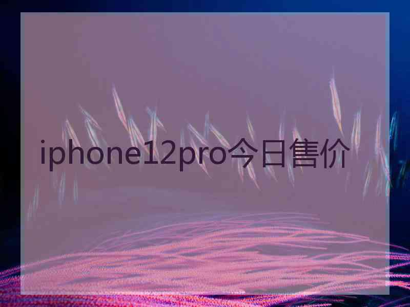 iphone12pro今日售价