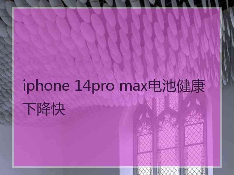 iphone 14pro max电池健康下降快