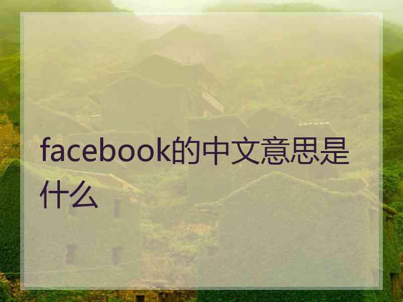 facebook的中文意思是什么