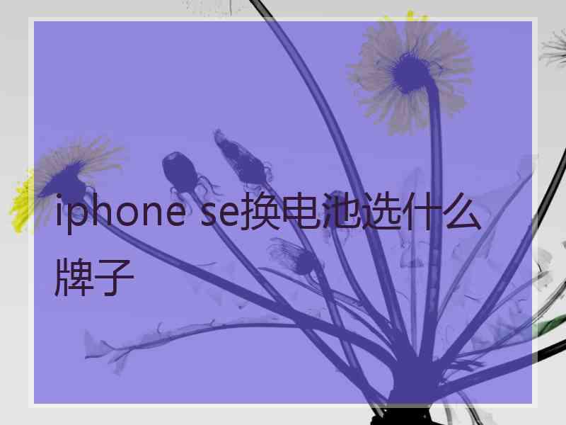 iphone se换电池选什么牌子