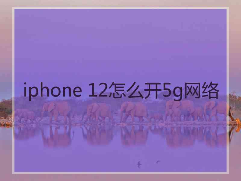 iphone 12怎么开5g网络