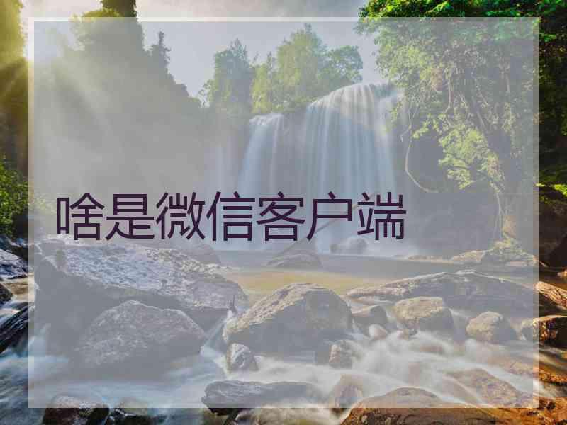 啥是微信客户端