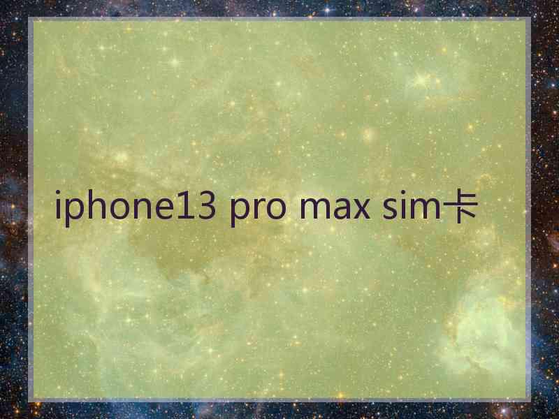 iphone13 pro max sim卡