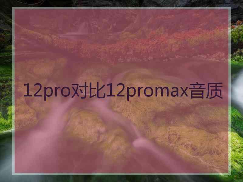 12pro对比12promax音质