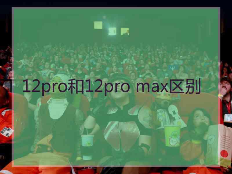 12pro和12pro max区别