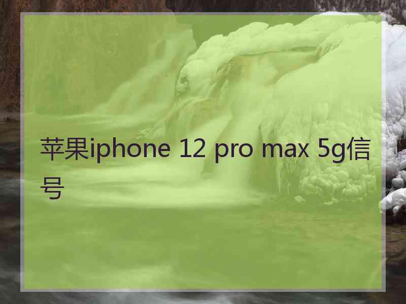 苹果iphone 12 pro max 5g信号