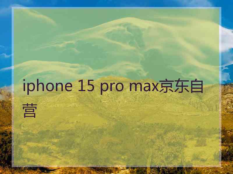 iphone 15 pro max京东自营