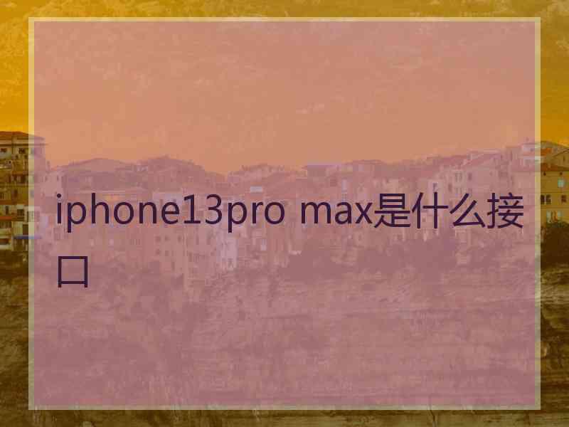 iphone13pro max是什么接口