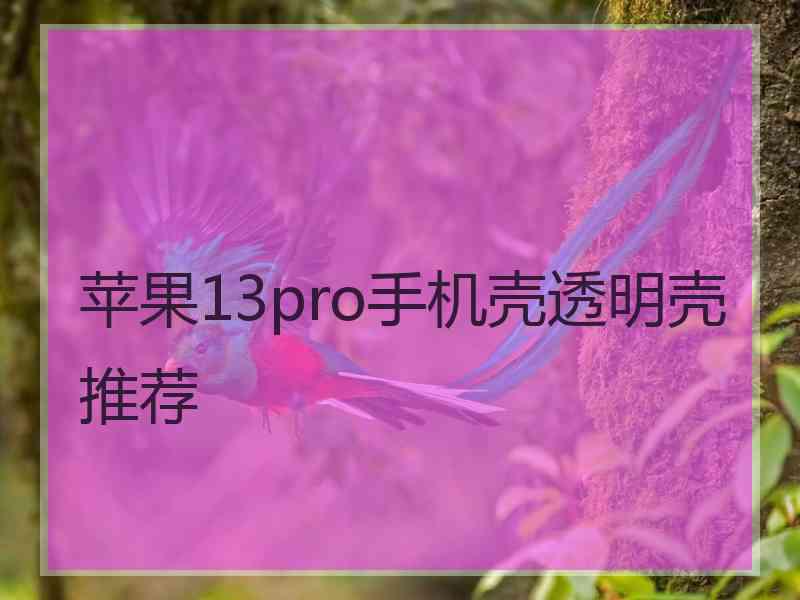 苹果13pro手机壳透明壳推荐