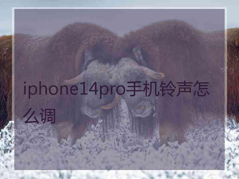 iphone14pro手机铃声怎么调