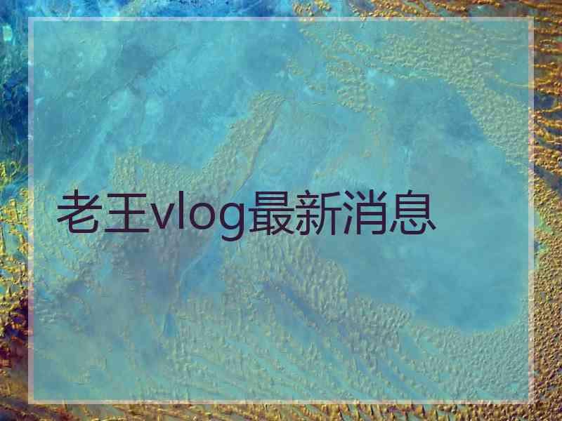 老王vlog最新消息