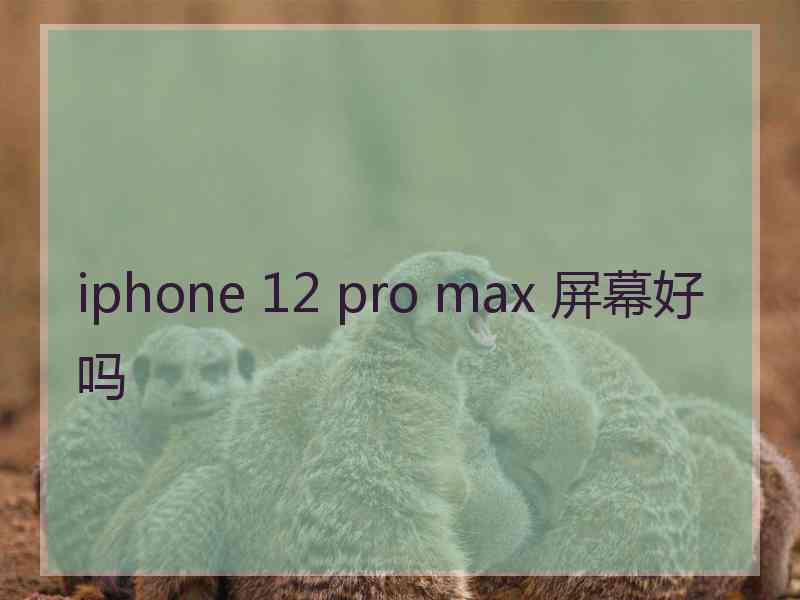 iphone 12 pro max 屏幕好吗