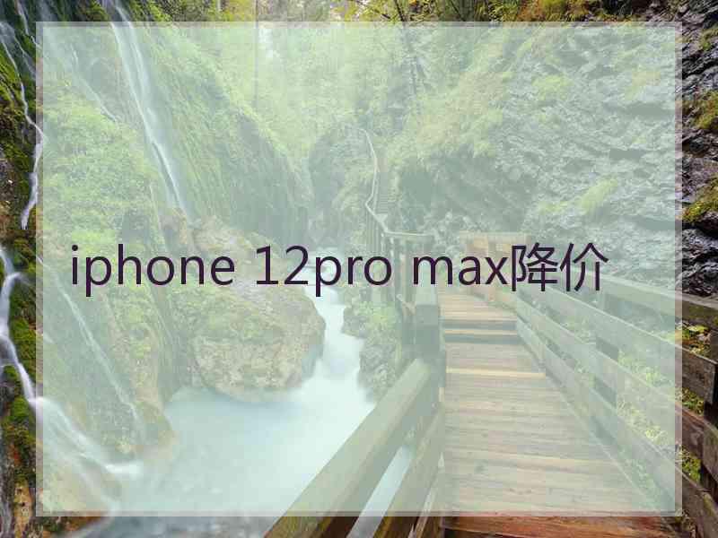 iphone 12pro max降价