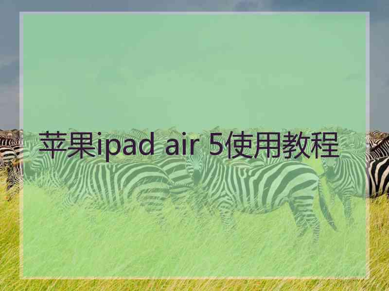 苹果ipad air 5使用教程