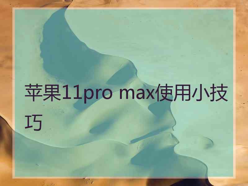 苹果11pro max使用小技巧