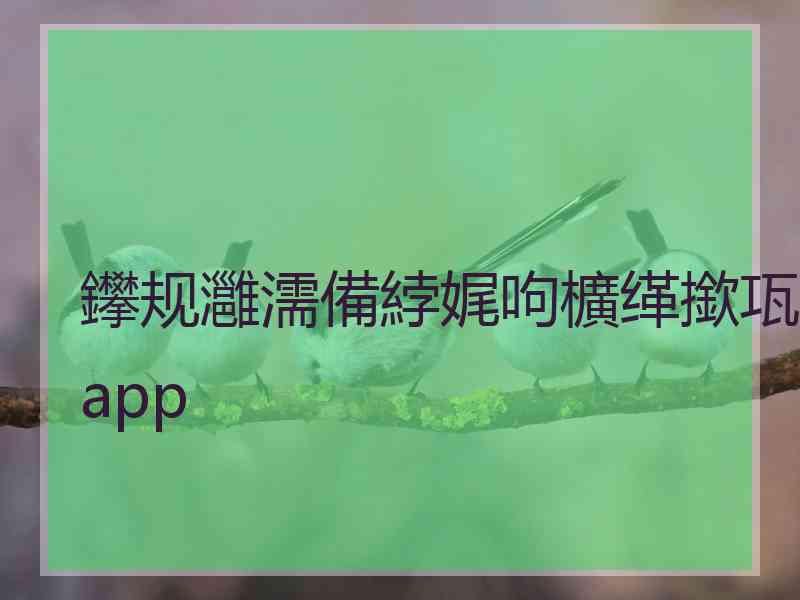 鑻规灉濡備綍娓呴櫎缂撳瓨app