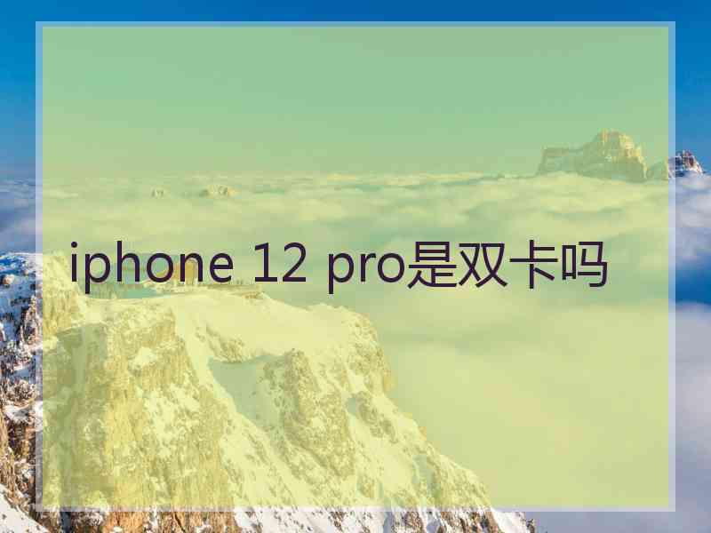 iphone 12 pro是双卡吗