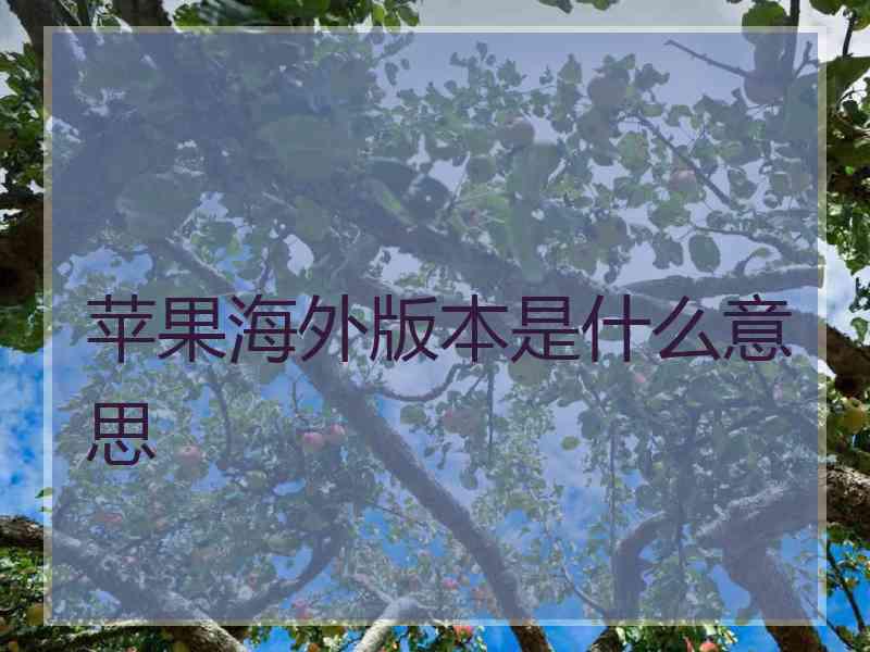 苹果海外版本是什么意思