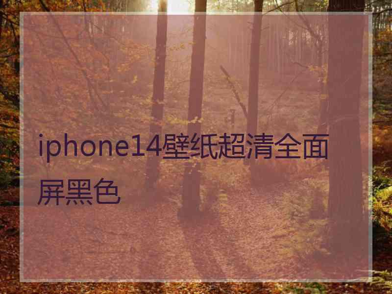 iphone14壁纸超清全面屏黑色