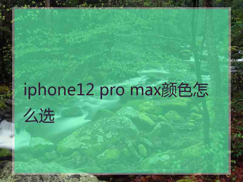 iphone12 pro max颜色怎么选