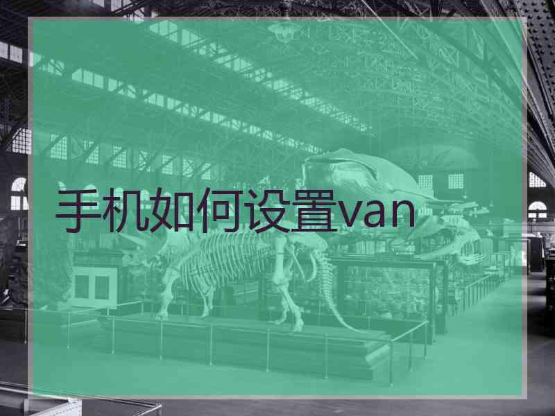 手机如何设置van