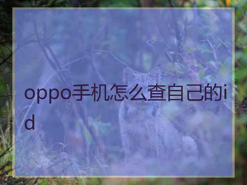 oppo手机怎么查自己的id