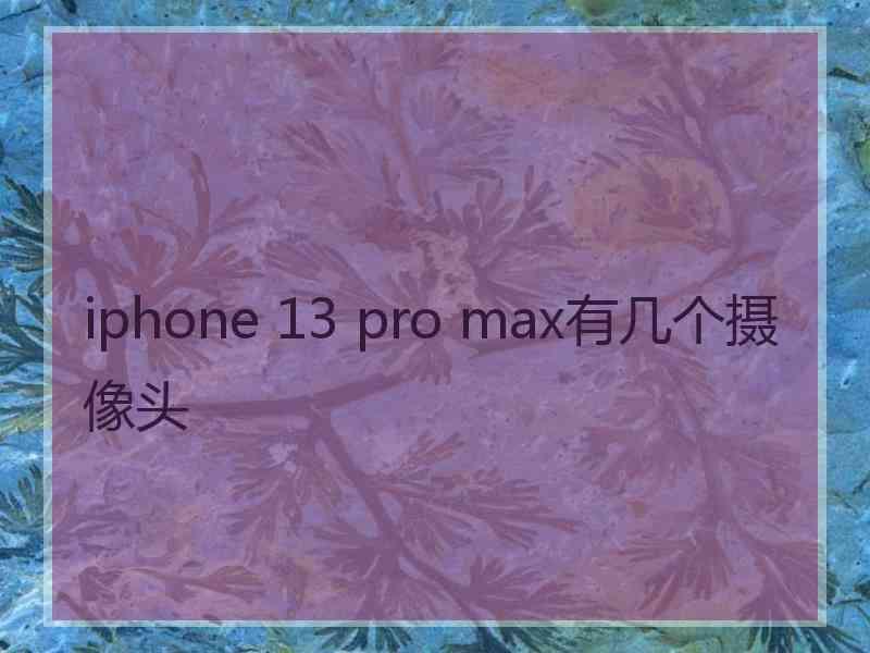 iphone 13 pro max有几个摄像头