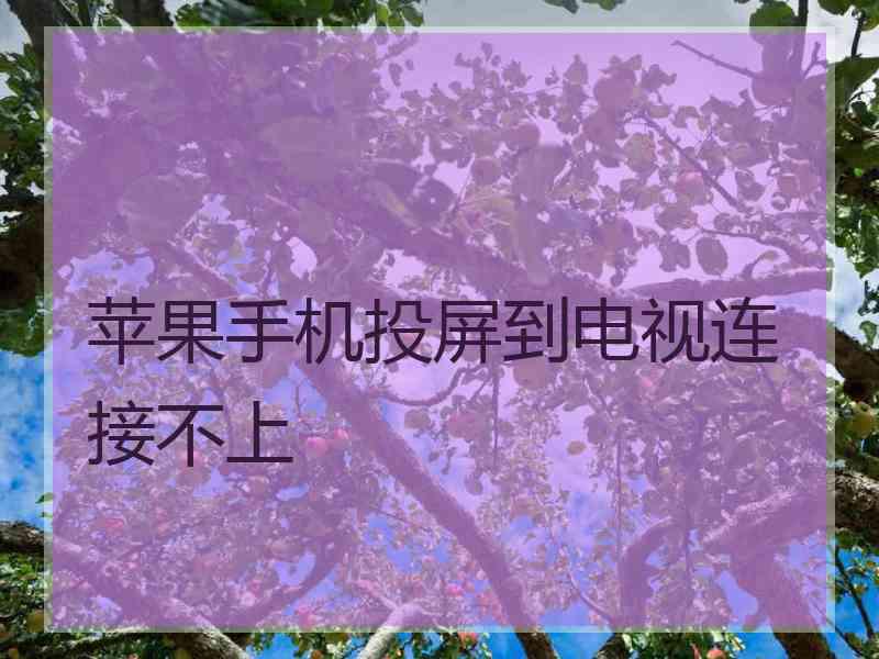 苹果手机投屏到电视连接不上