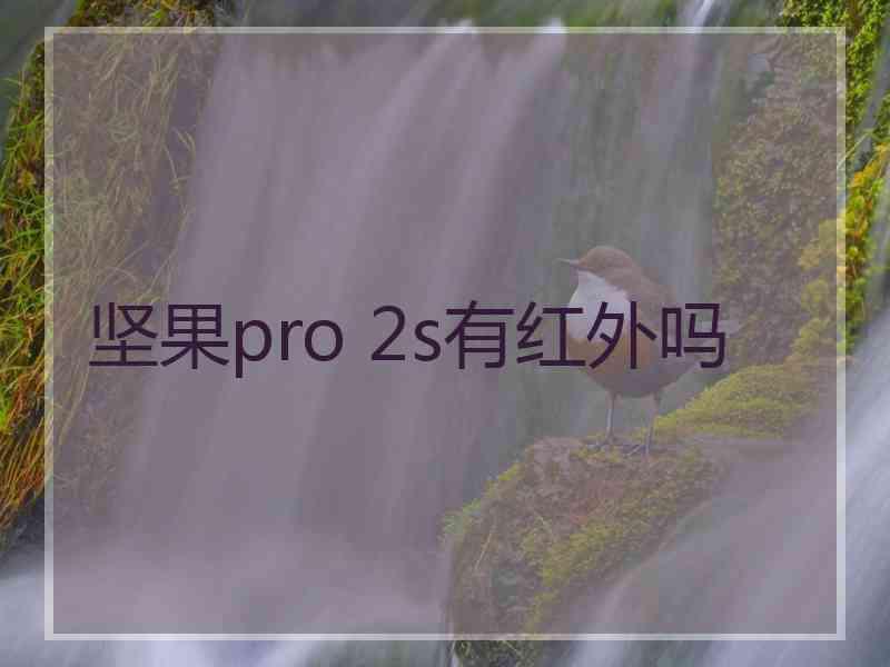 坚果pro 2s有红外吗