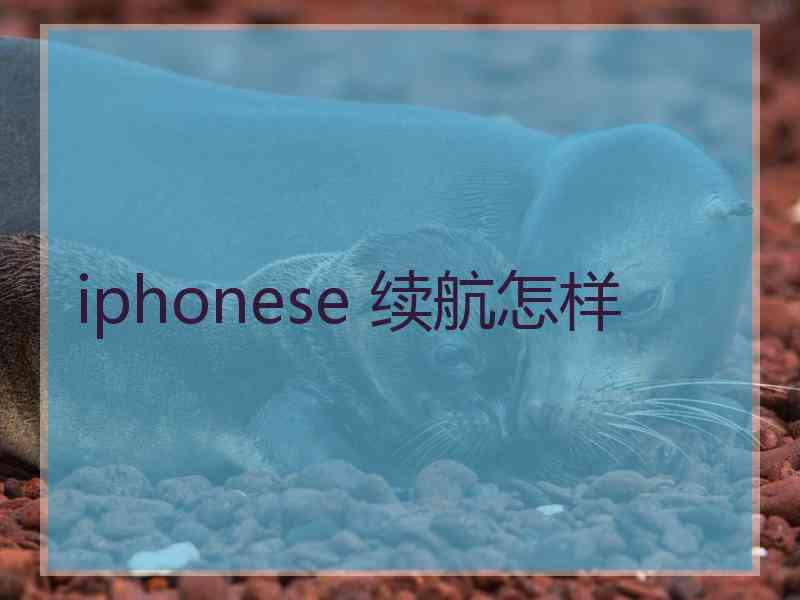 iphonese 续航怎样