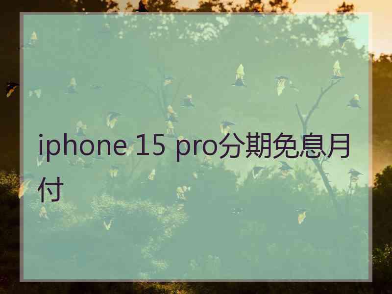 iphone 15 pro分期免息月付