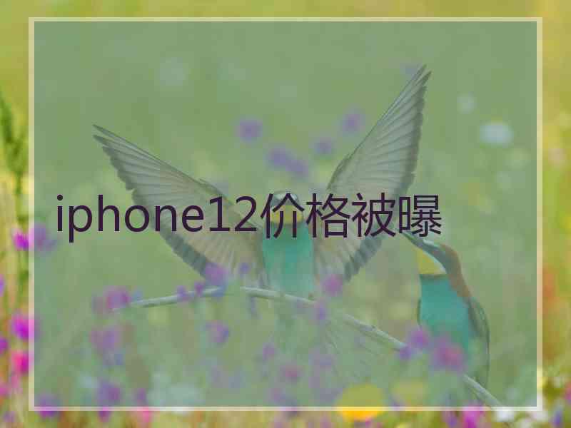 iphone12价格被曝