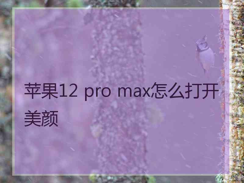 苹果12 pro max怎么打开美颜