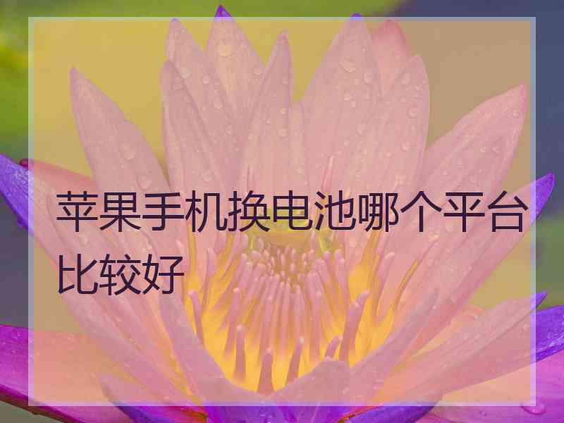 苹果手机换电池哪个平台比较好