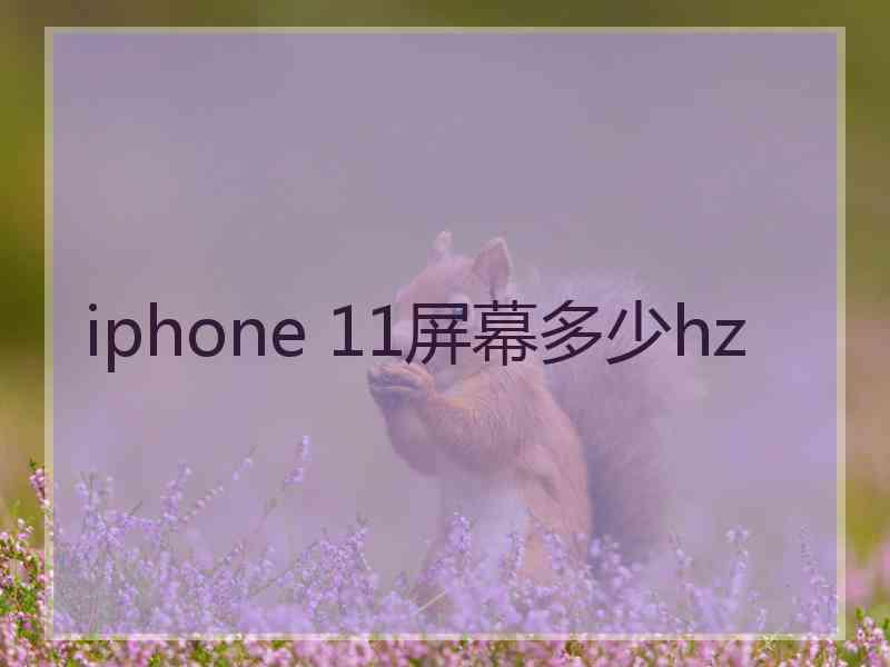 iphone 11屏幕多少hz