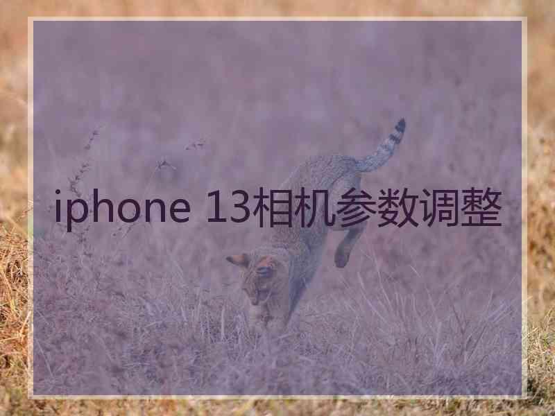 iphone 13相机参数调整