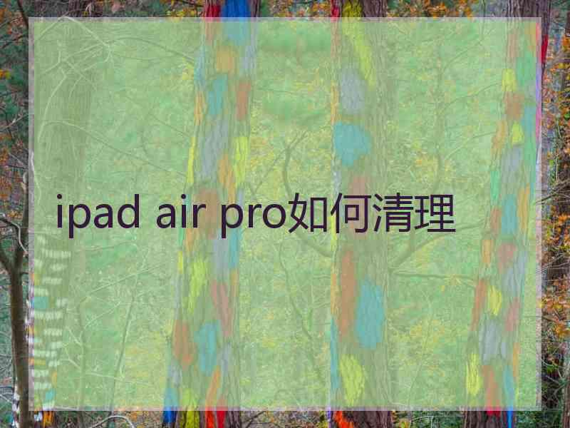 ipad air pro如何清理