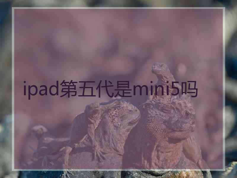 ipad第五代是mini5吗