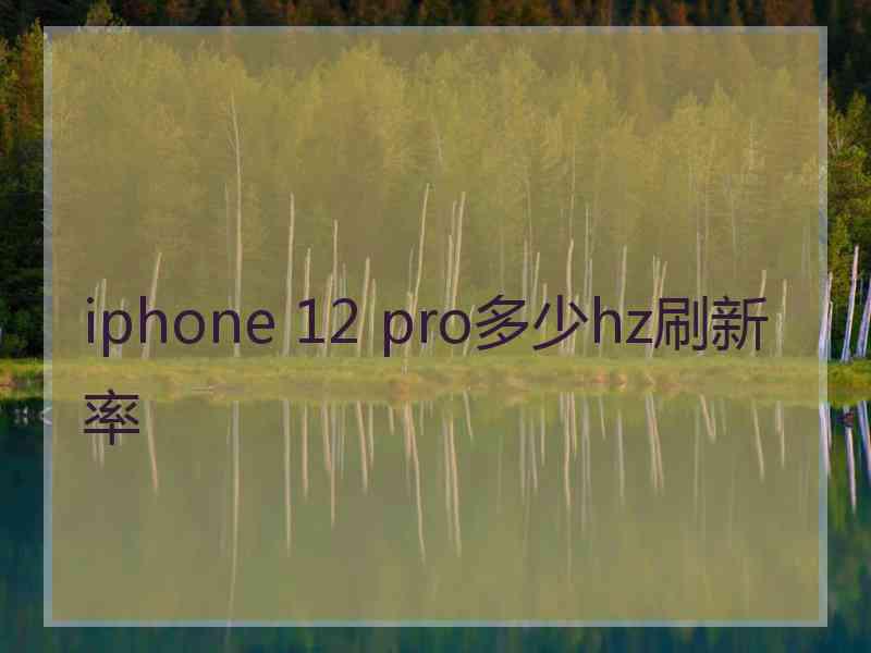 iphone 12 pro多少hz刷新率