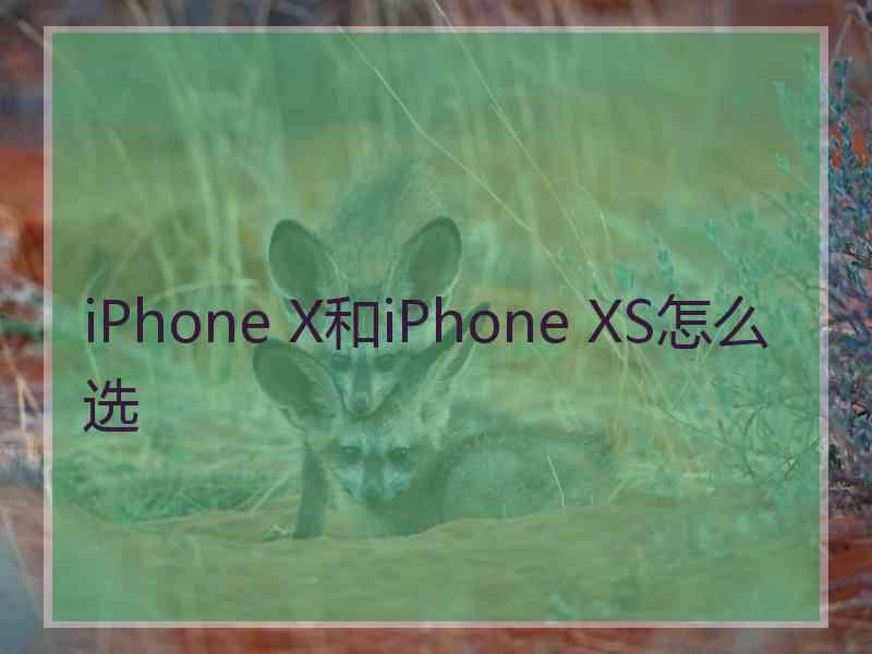 iPhone X和iPhone XS怎么选