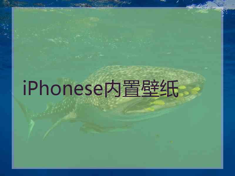 iPhonese内置壁纸