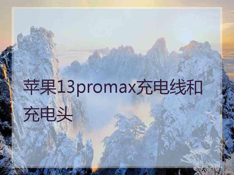 苹果13promax充电线和充电头