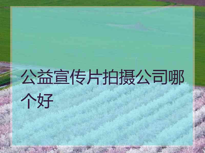 公益宣传片拍摄公司哪个好