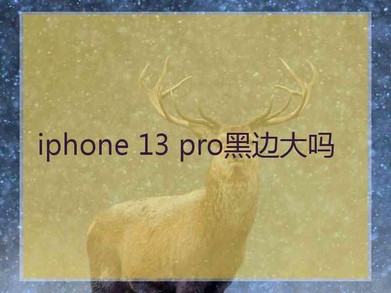 iphone 13 pro黑边大吗