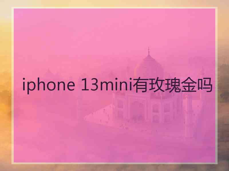 iphone 13mini有玫瑰金吗