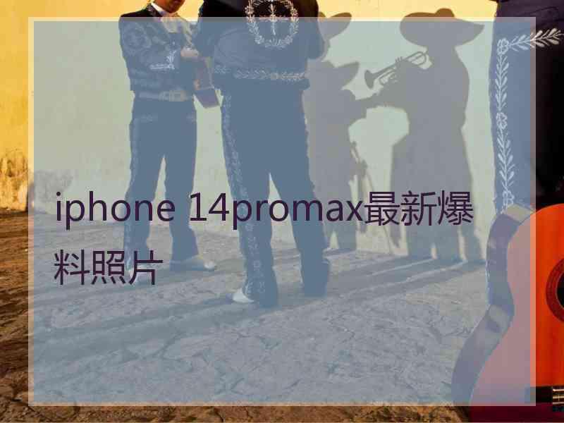 iphone 14promax最新爆料照片